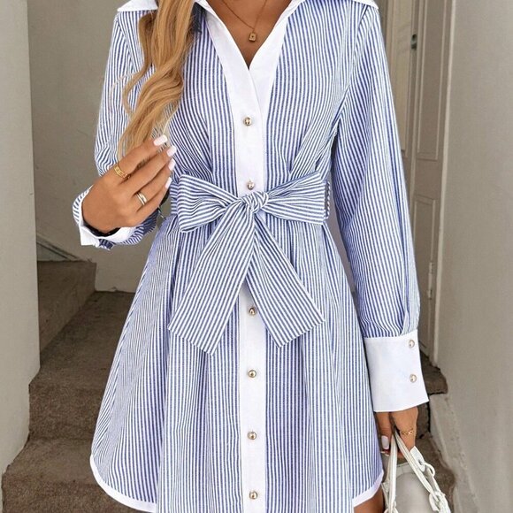 Blue And White Casual Women's Color Block Lantern Sleeve A-Line Dress - Picture 3 of 8